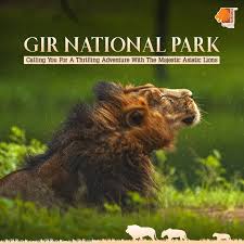 Gir National Park, Gujrat